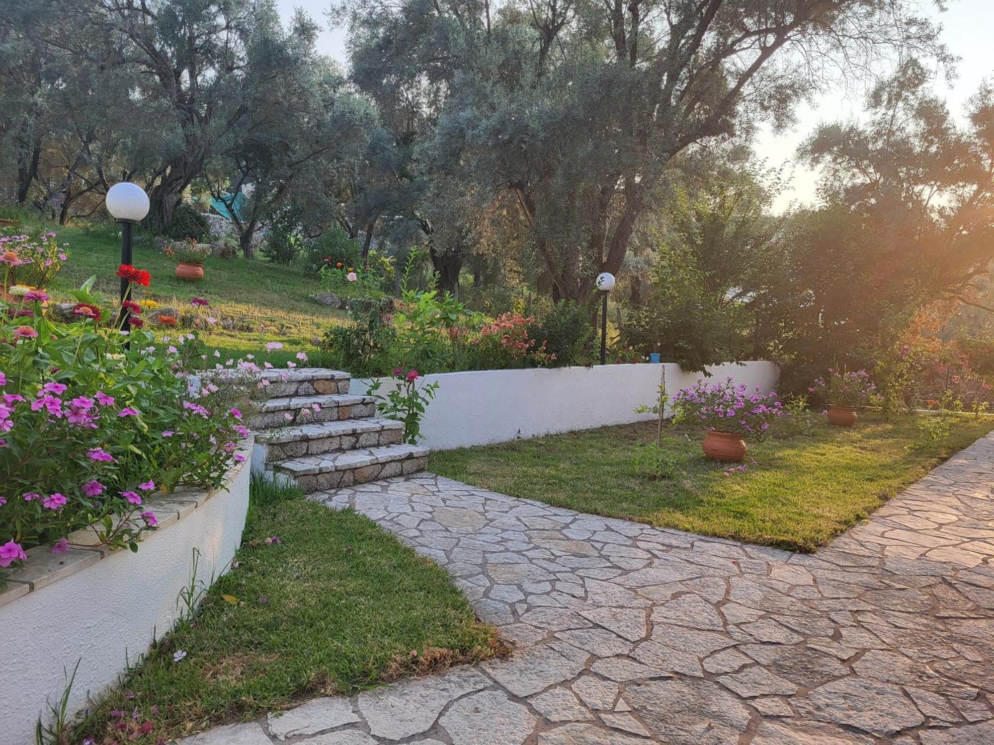 Dimitra Studios Lefkada City Bagian luar foto
